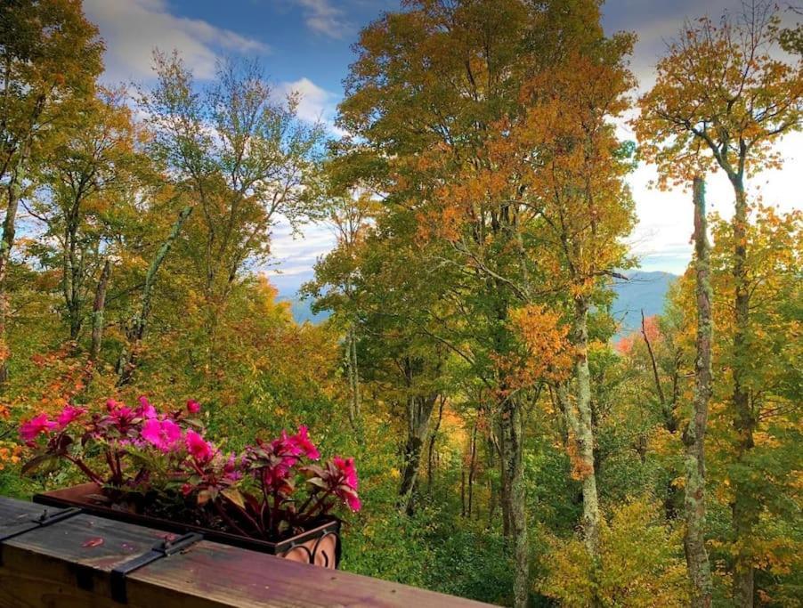 Appresski - 5 Bed Ski In Ski Out - 50 Steps To Ski Sugar Mountain Slopes Exterior foto